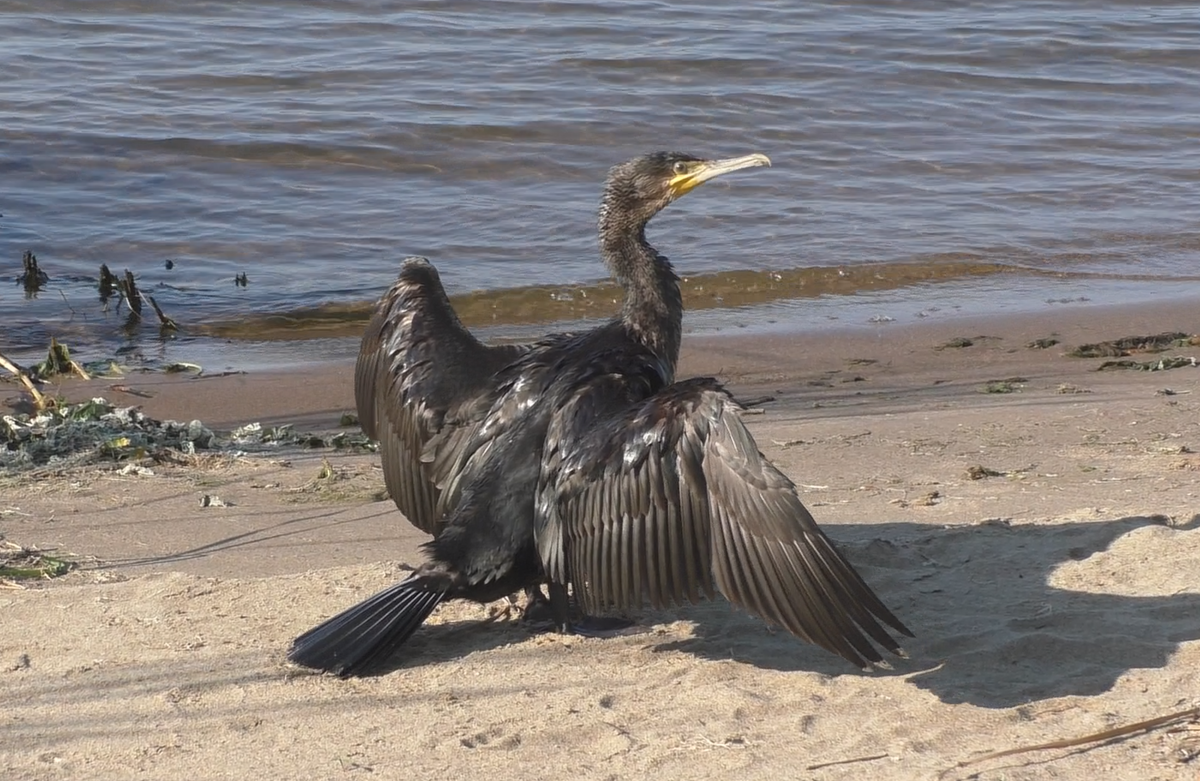 Фото из архива автора