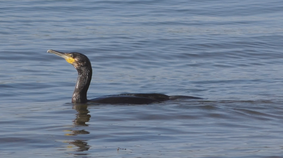 Фото из архива автора