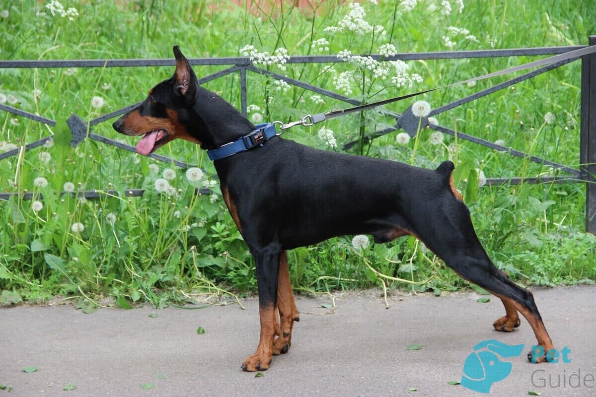 Чем это так ужасненько пахнет?