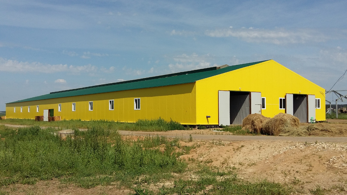 Проек коровника на 50 голов