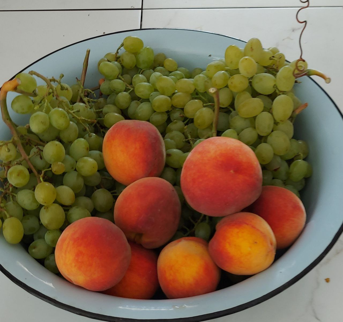 Фруктовый таз.