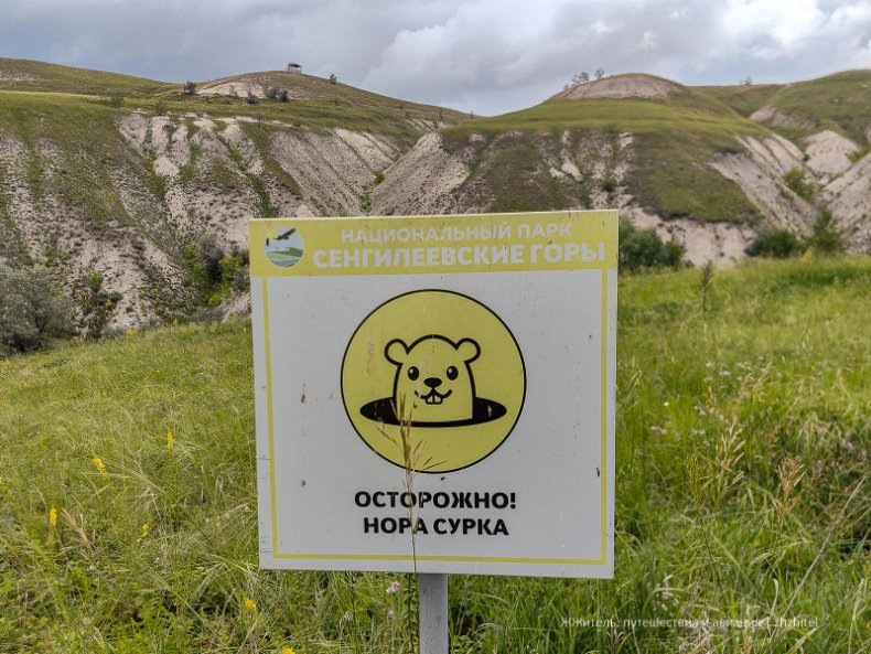 Осторожно, нора сурка