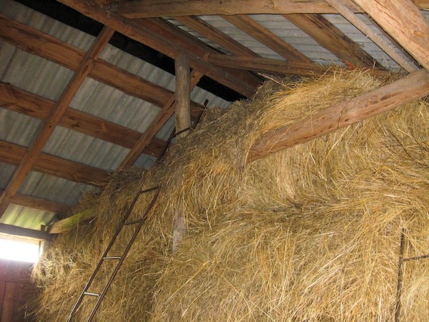 Фото из интернета в свободном доступе.