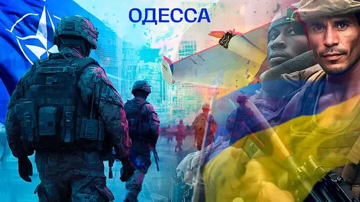 Коллаж NovorosInform