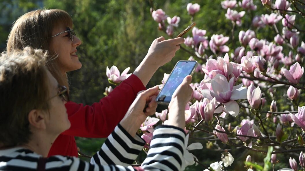    Komsomolskaya Pravda/Globallookpress