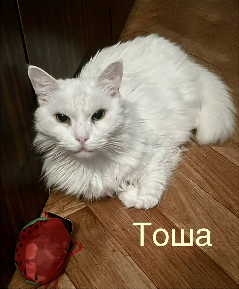 Тоша самая старшая, 12-13 лет