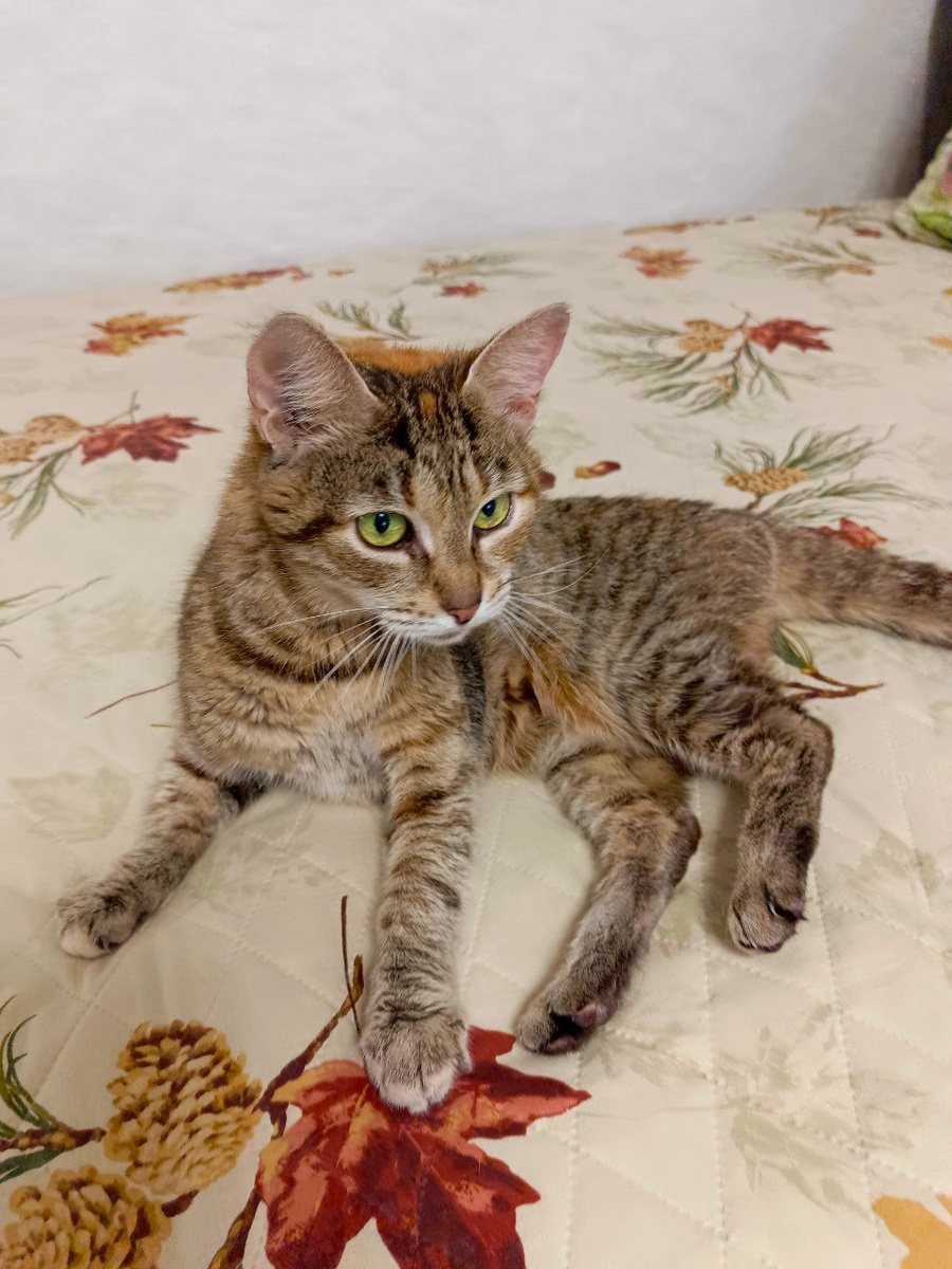 Даша красотка! Обратите внимание! 12 лет