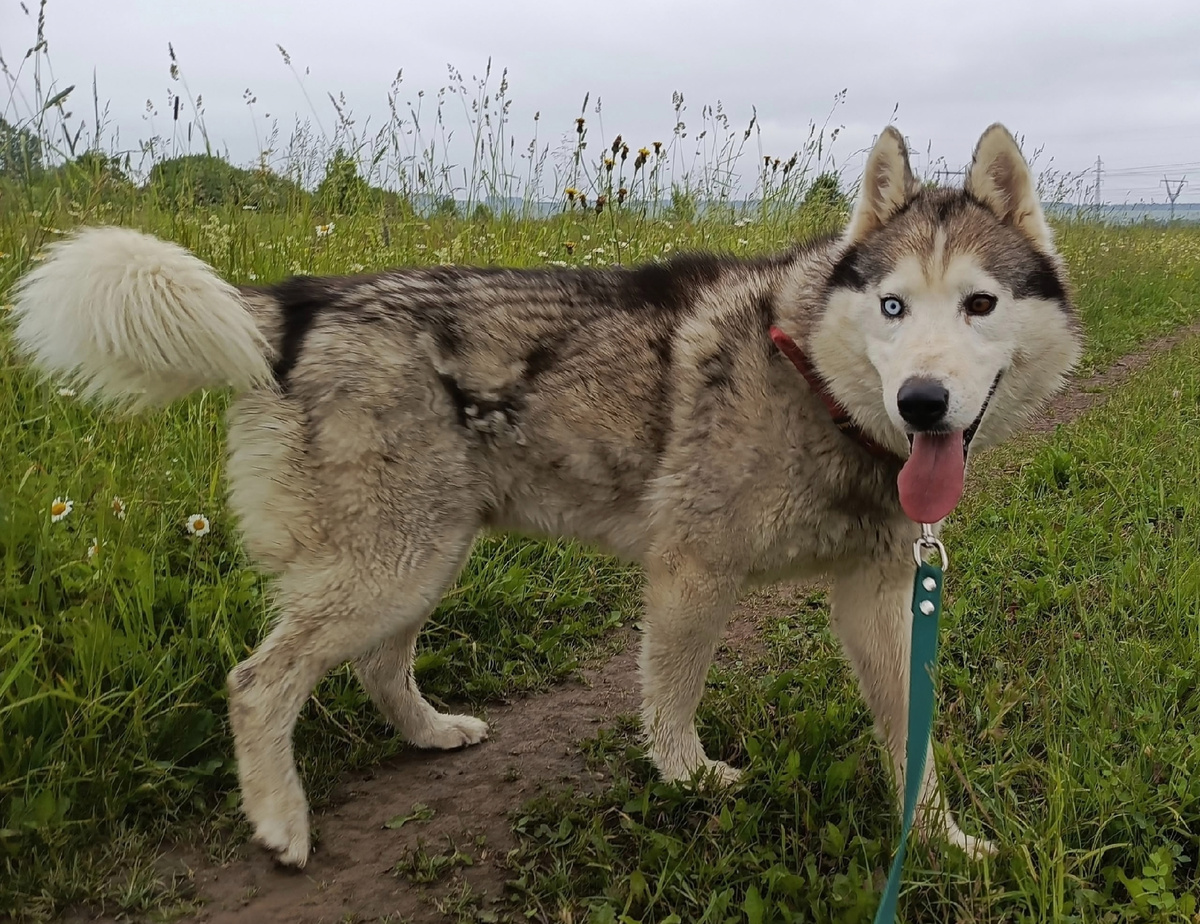 Его мы назвали Того
