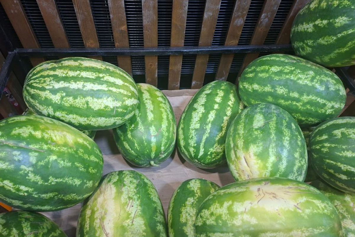    Фото: Астраханский Новостной Портал Источник: kaspyinfo.ru