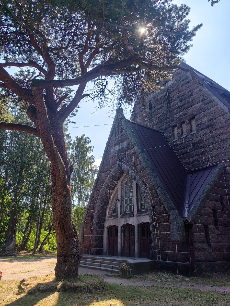 Кирха Святой Марии Магдалины. Перед ней старая сосна.