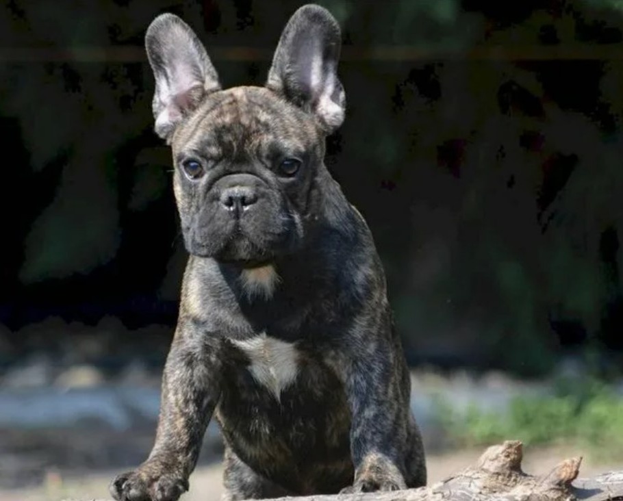 А вот Марсель, услышав «ко мне», ещё подумает, насколько это предложение вписывается в его планы на сегодня.
