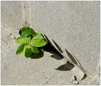 Фото: Евгений Манакин