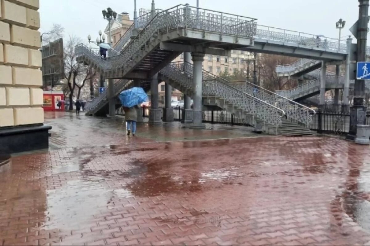    Погода: дожди и тёплый воздух накроют Хабаровский край 10 августа