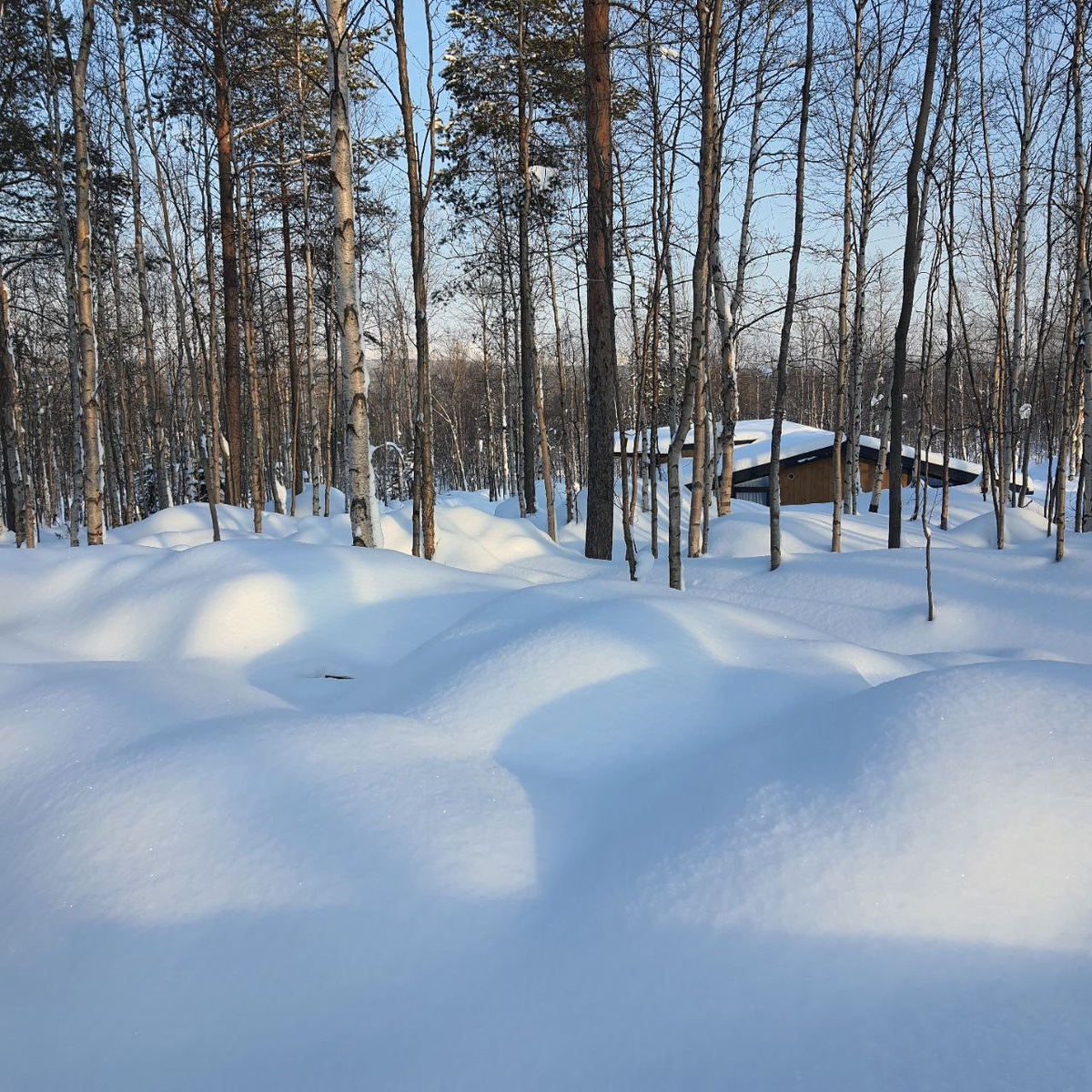 Зима на Севере. Апатиты 
