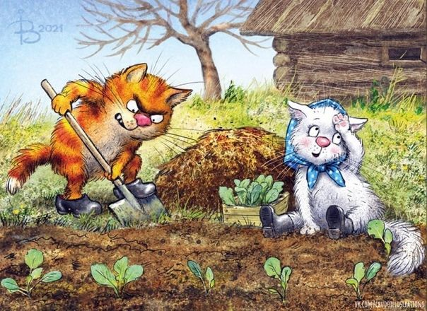 очаровательные коты Рины Зенюк