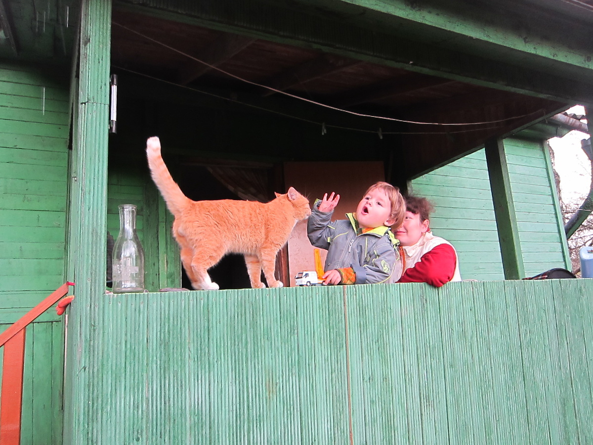 Рыжий, слушай мою команду