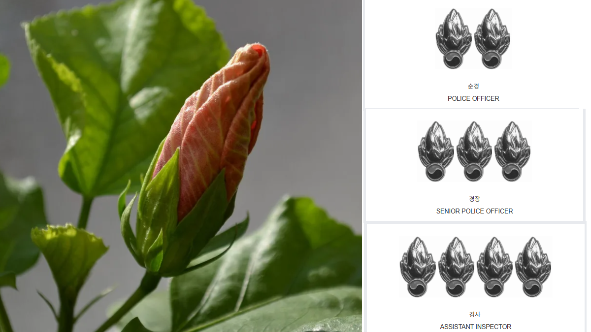 бутон и знаки отличия нижнего состава полиции