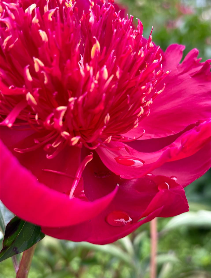    Источник фото: