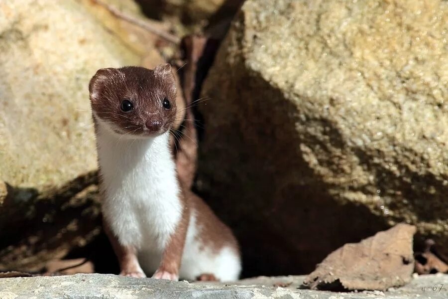 Фотография взята из открытых источников