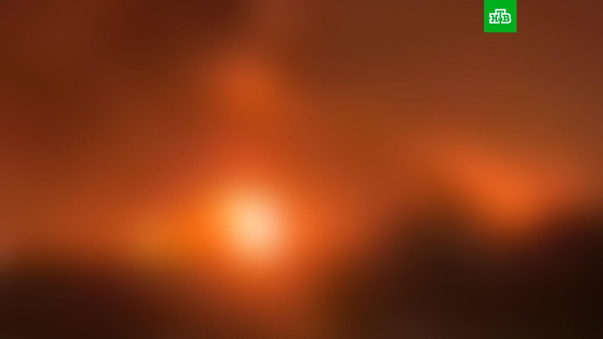    Фото: соцсети