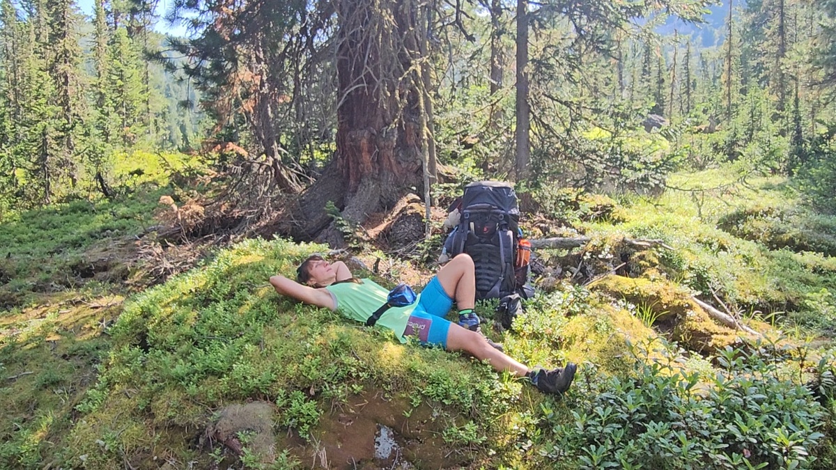 Отдыхаю в тенёчке на мшистом камне.