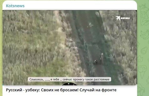    Скриншот: Telegram/Kotsnews