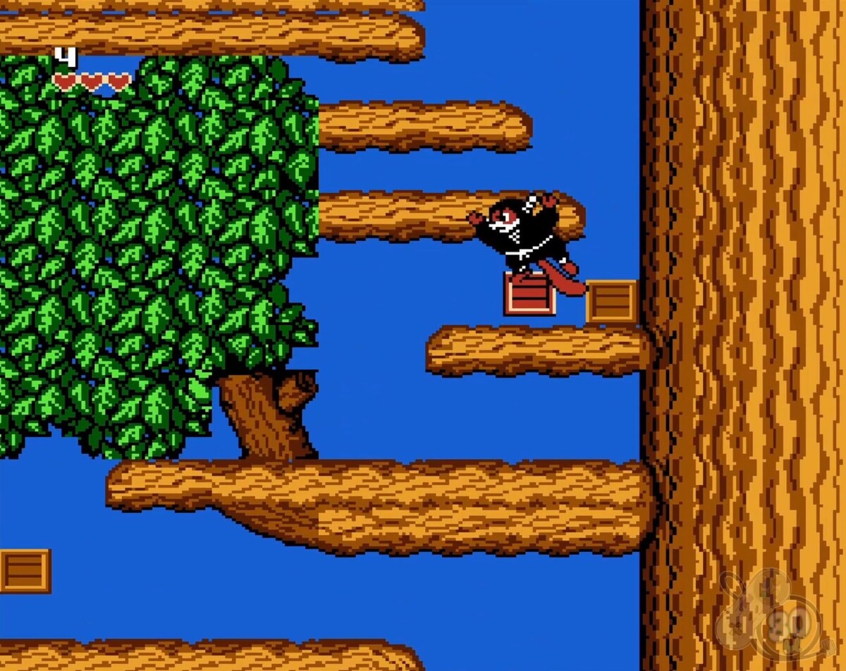 Чип и Дейл Dendy. Картинка "найди бурундука"