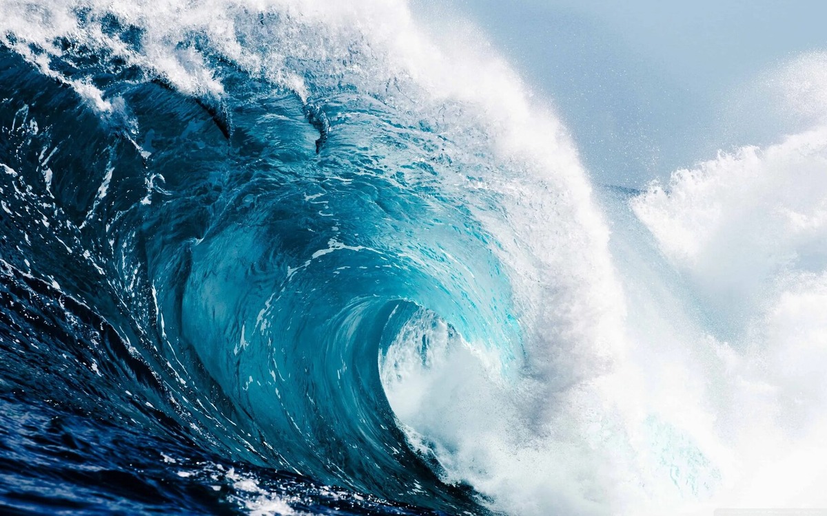 Фото из интернета 