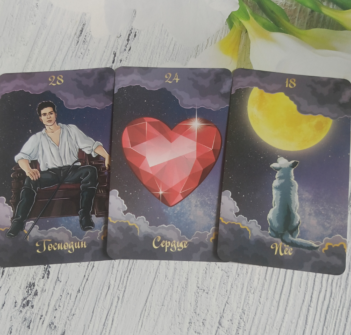 Фото автора