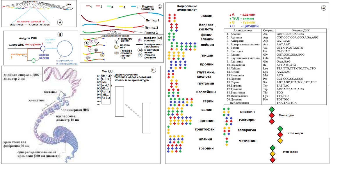 Многоуровневое комбинаторное процессирование в клетках