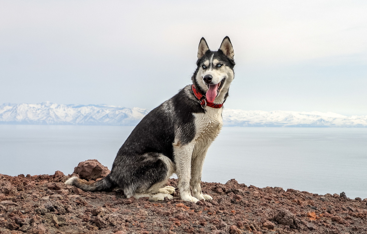 Елена Верещака/ТАСС
