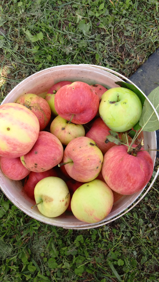 Фото автора.