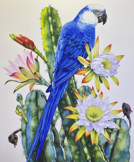 �������� ����������� : ������ ��������.