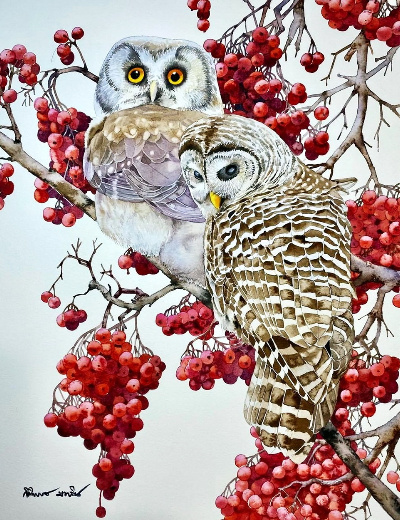 �������� ����������� : ������ ��������.