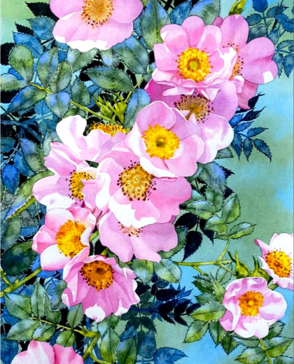 �������� ����������� : ������ ��������.