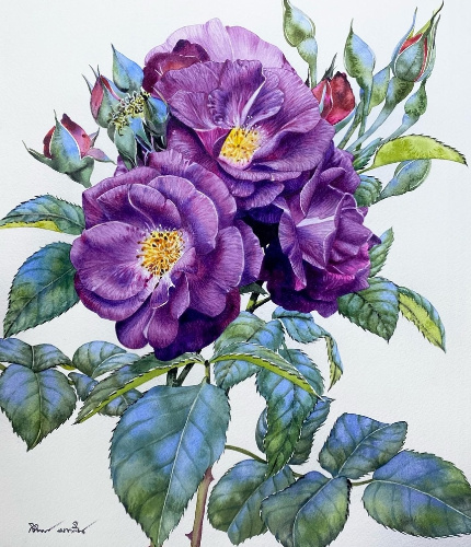 �������� ����������� : ������ ��������.