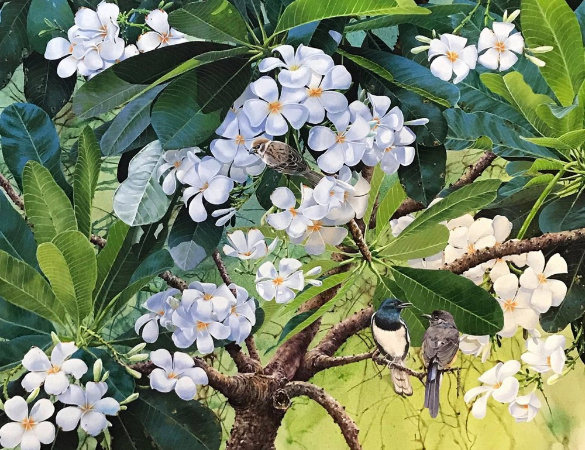 �������� ����������� : ������ ��������.