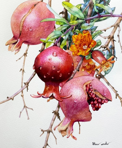 �������� ����������� : ������ ��������.