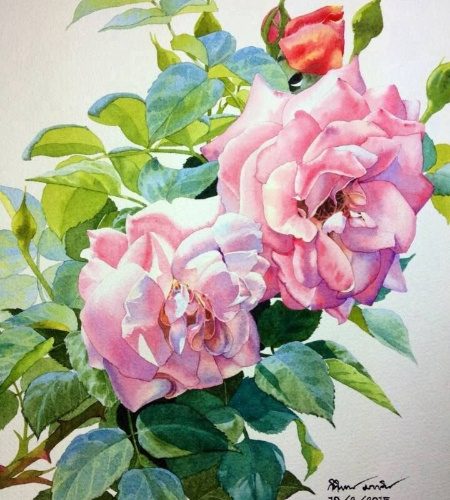 �������� ����������� : ������ ��������.