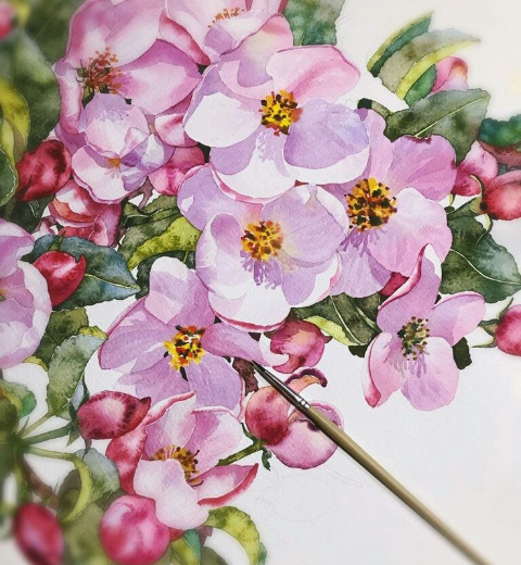 �������� ����������� : ������ ��������.