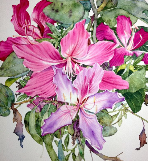 �������� ����������� : ������ ��������.