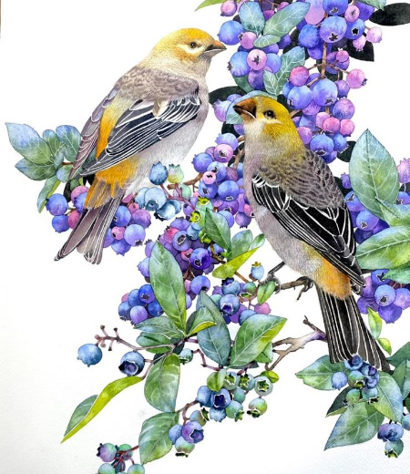 �������� ����������� : ������ ��������.