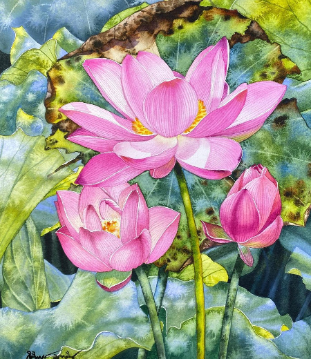 �������� ����������� : ������ ��������.