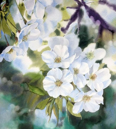 �������� ����������� : ������ ��������.