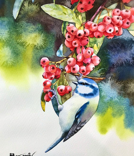 �������� ����������� : ������ ��������.