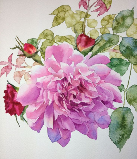 �������� ����������� : ������ ��������.