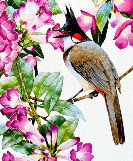 �������� ����������� : ������ ��������.