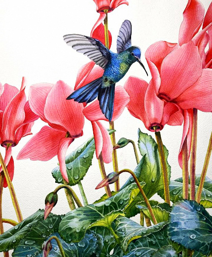 �������� ����������� : ������ ��������.