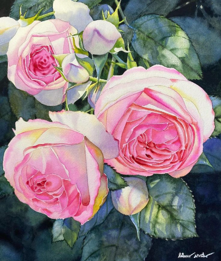 �������� ����������� : ������ ��������.