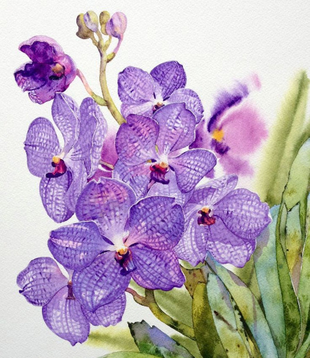 �������� ����������� : ������ ��������.